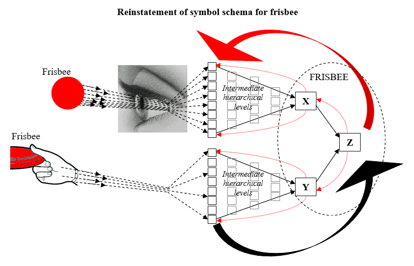 Diagram of the reinstatement of a symbol schema that represents a frisbee